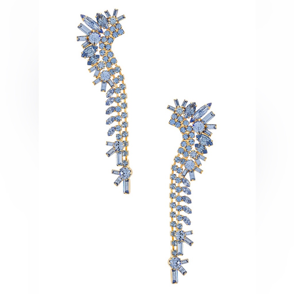 Revolve earrings